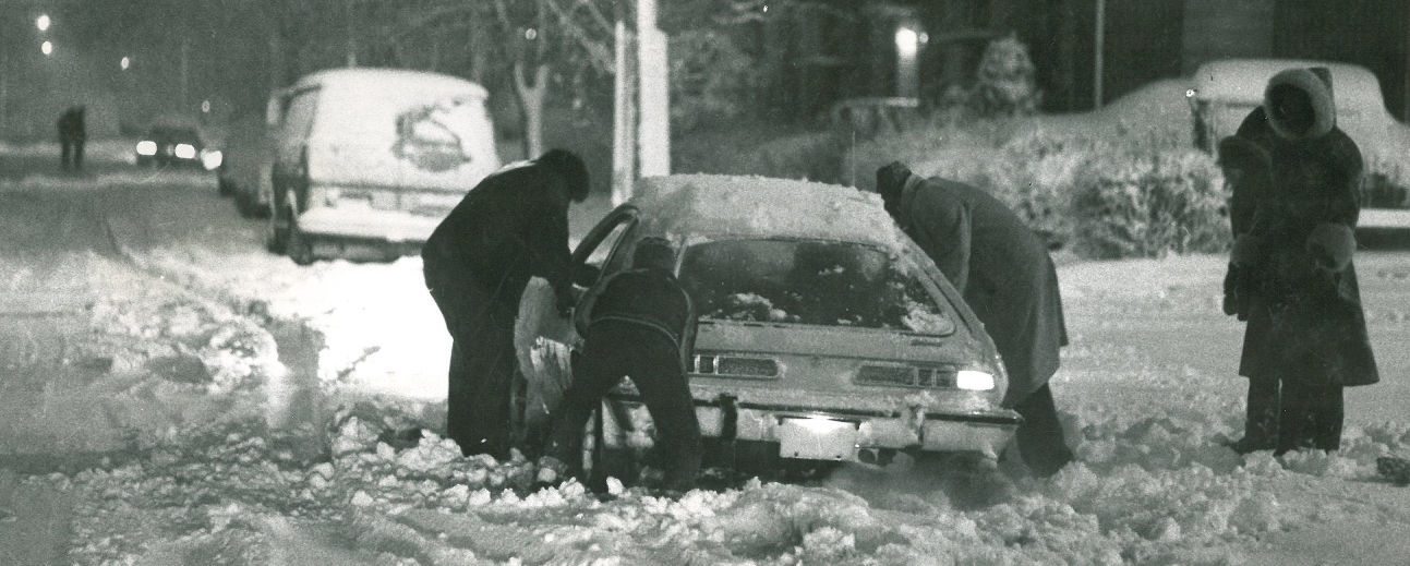 1981